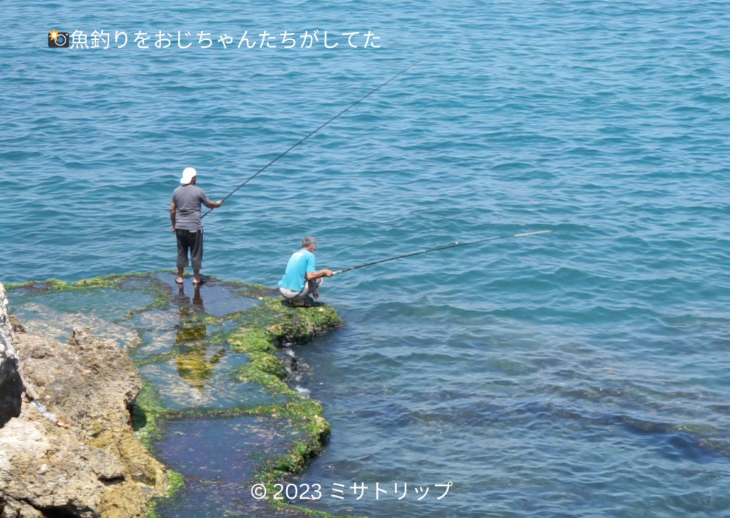 魚釣りをする人