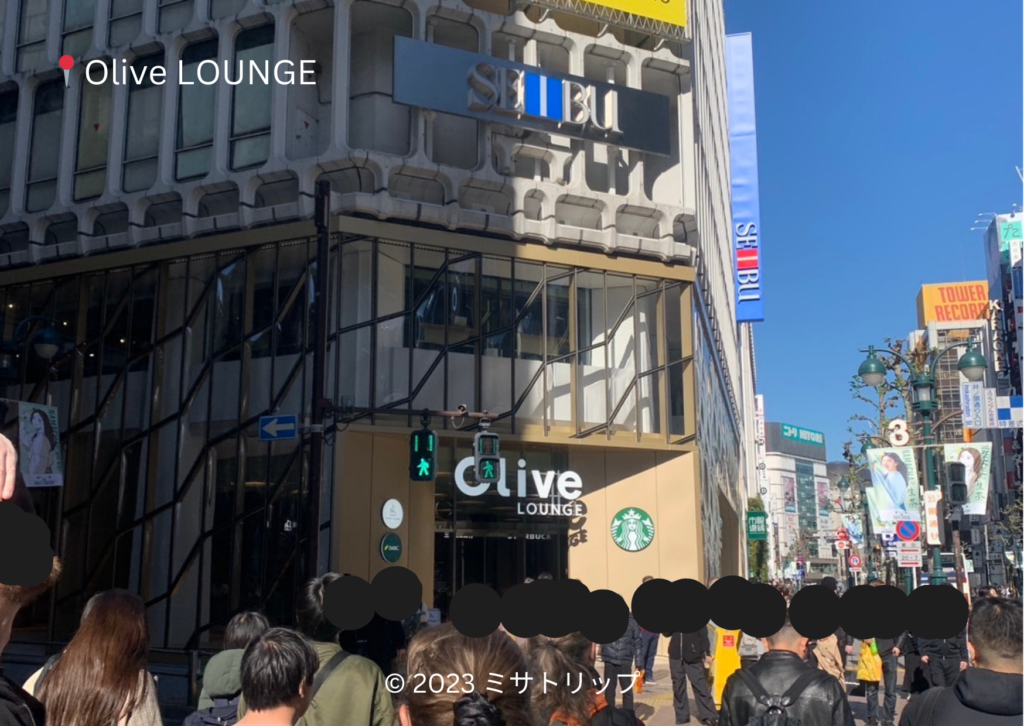 Olive LOUNGE