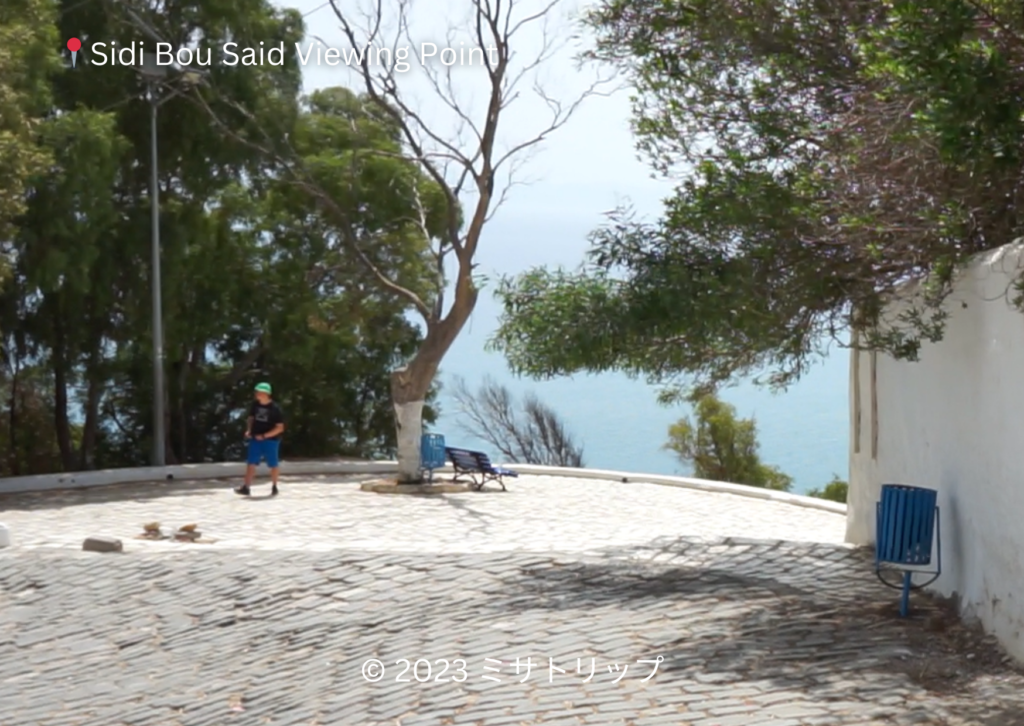 Sidi Bou Said Viewing Point