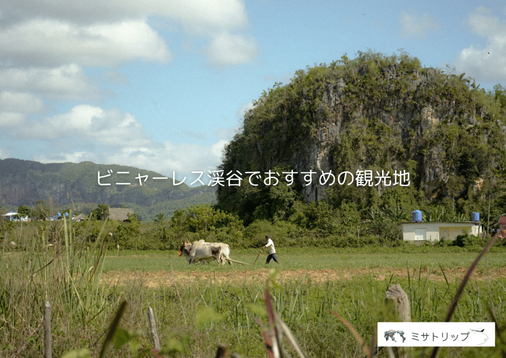 ビニャーレス渓谷でおすすめの観光地