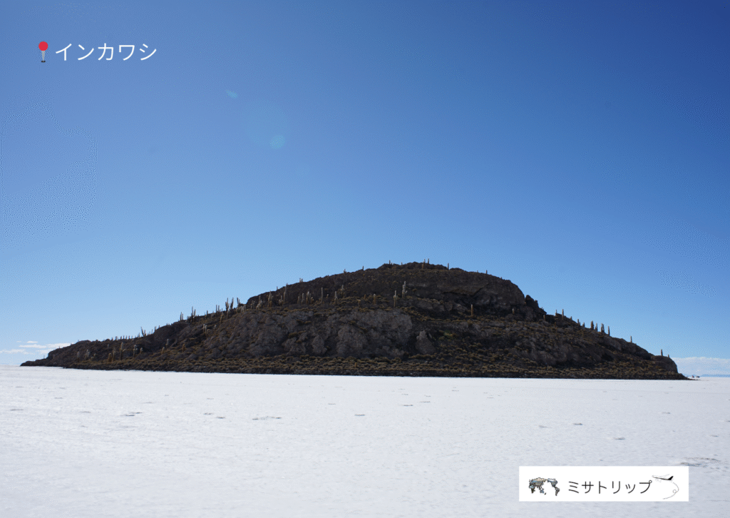 インカワシの全貌