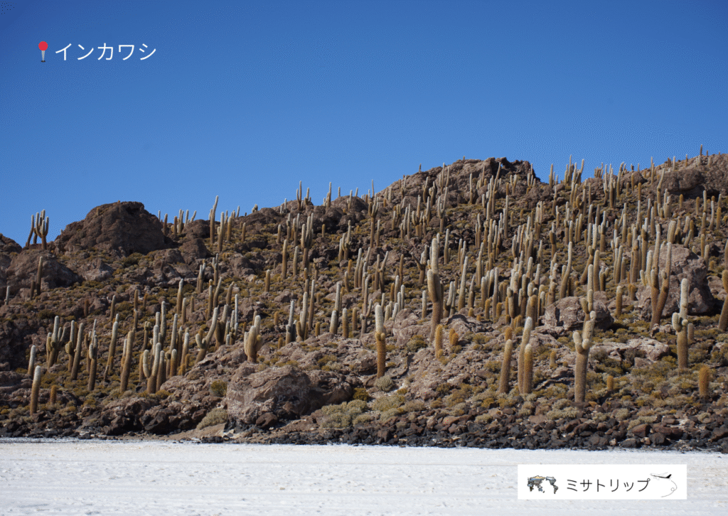 インカワシ