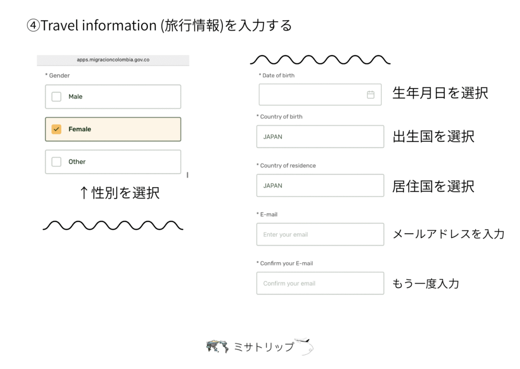 生年月日を入力