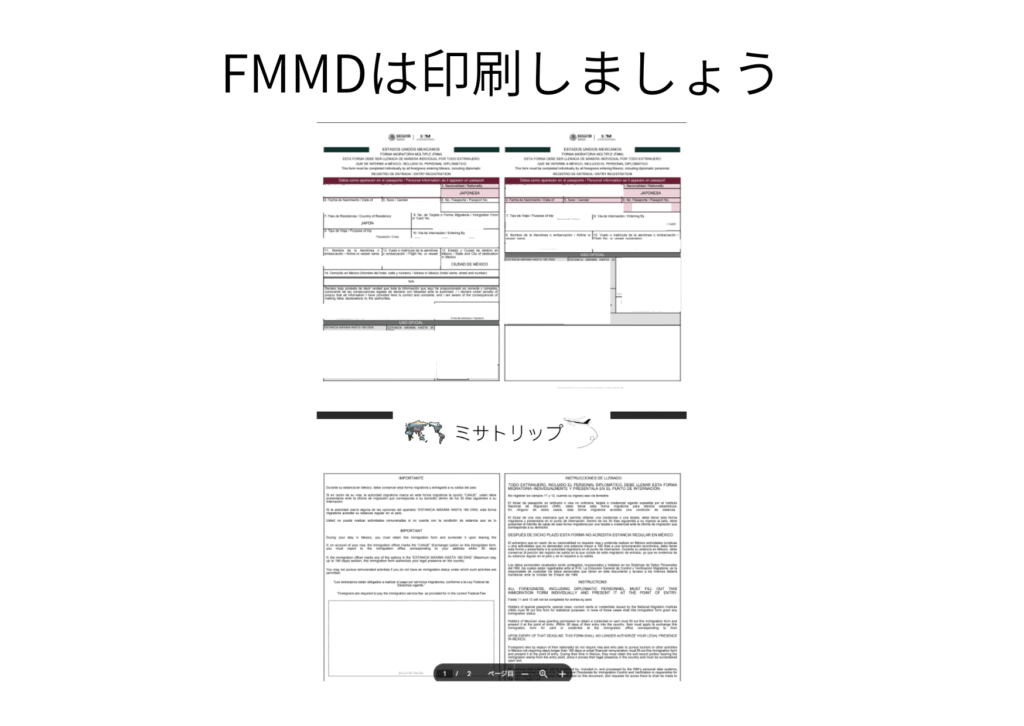 FMMD