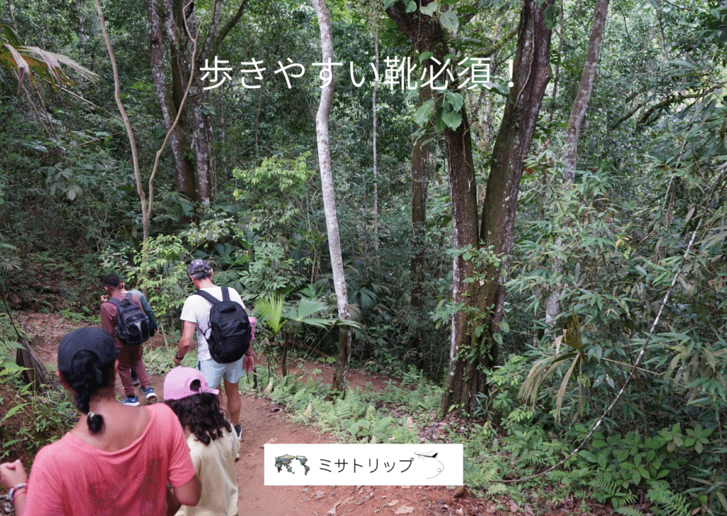 歩きやすい靴必須