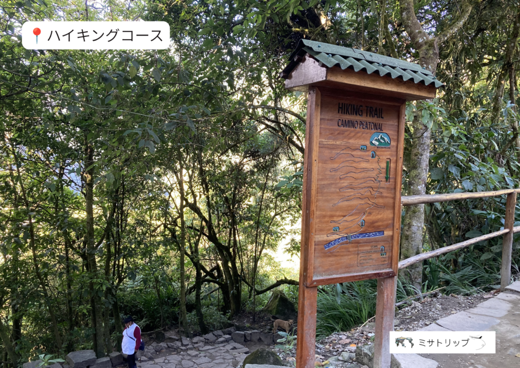 ハイキングコース