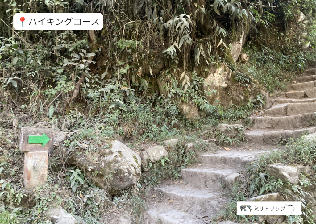 道中
