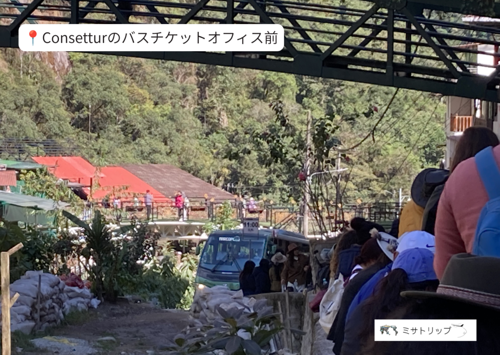 バスのライン