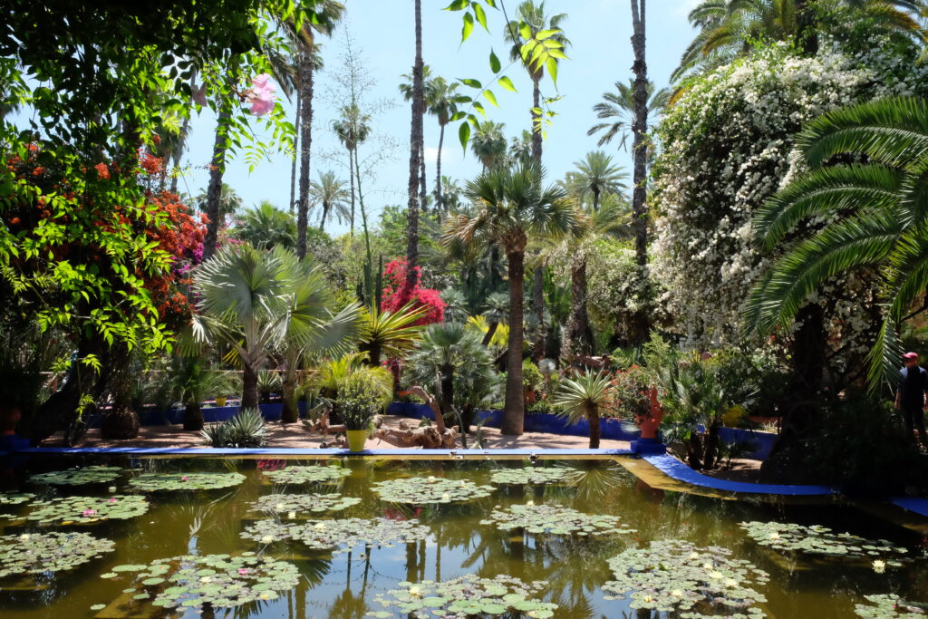 マジョレル庭園の植物